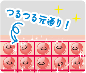 スッキリキレイな脂肪細胞に