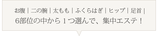 6部位の中から１つ選んで、集中エステ！
