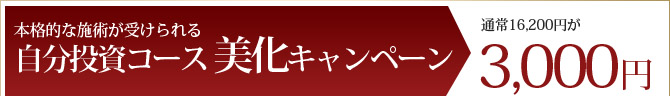自分投資コース 美化キャンペーン