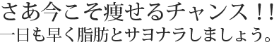 今こそ痩せるチャンス