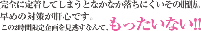 完全に定着してしまうとなかなか落ちにくいその脂肪。早めの対策が肝心です。この二時間限定企画を見逃すなんて、もったいない!!