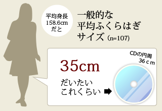 一般的なふくらはぎサイズ