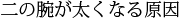 二の腕が太くなる原因