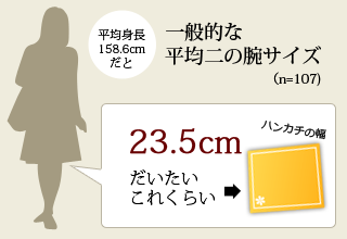 一般的な二の腕サイズ