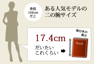 ある人気モデルの二の腕サイズ