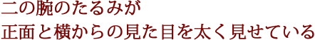 二の腕のたるみが正面と横からの見た目を太く見せている