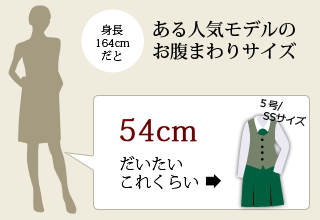 ある人気モデルのお腹まわりサイズ